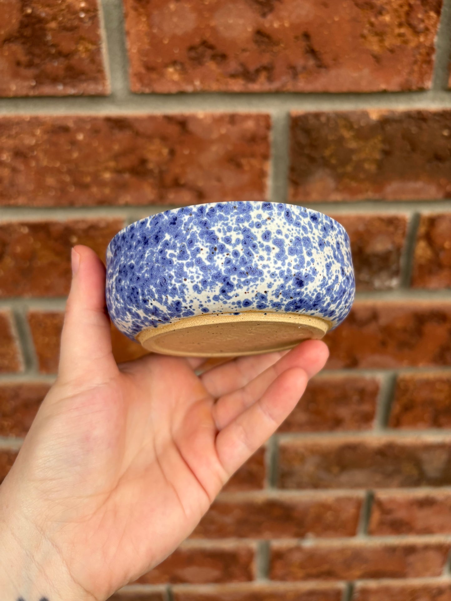 speckled blue smol bowl