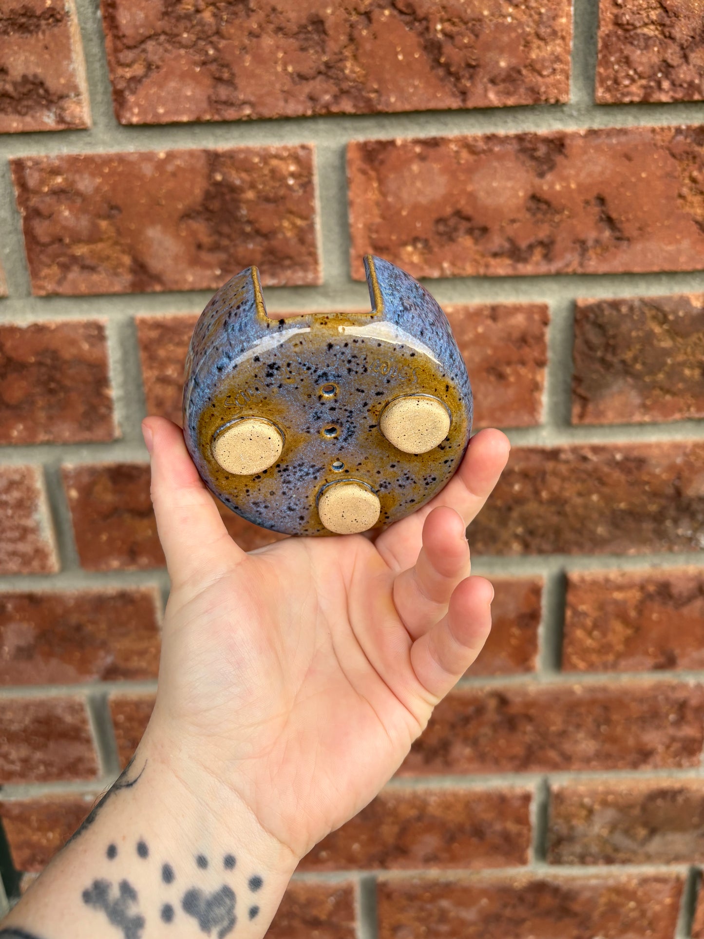 blue sponge holder