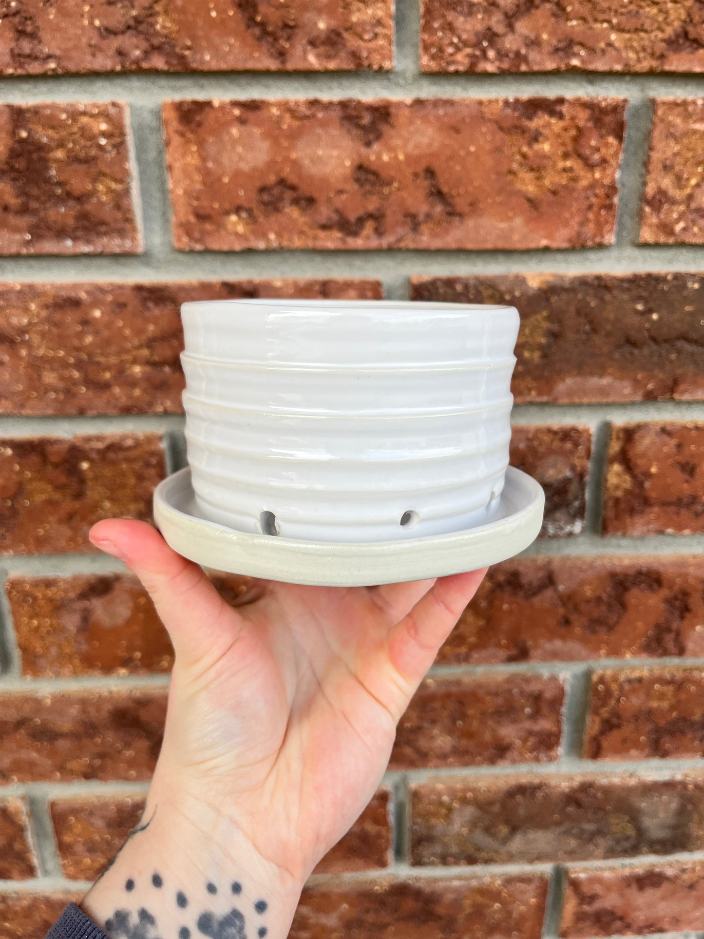 white small planter