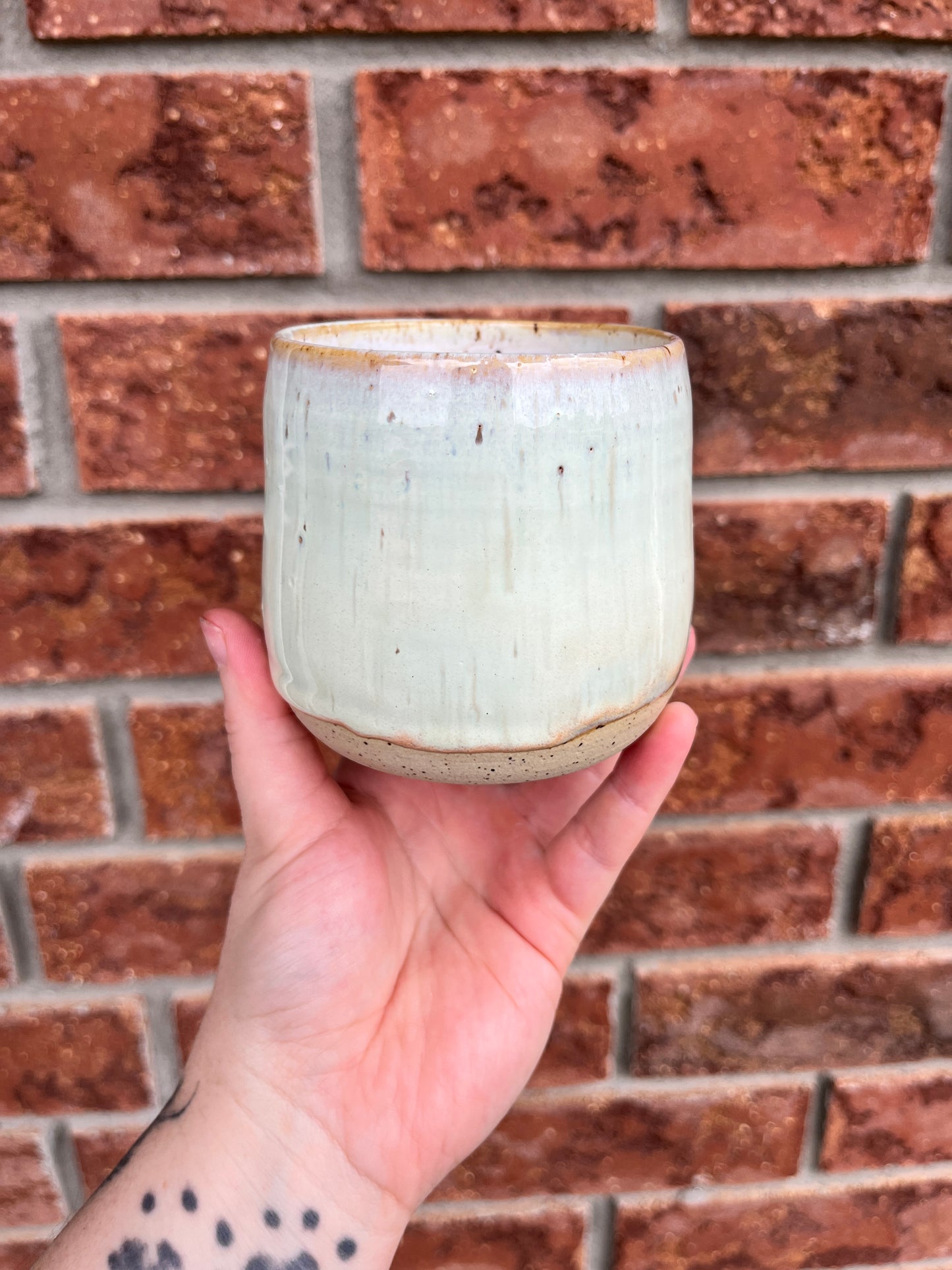 cream of celery - 10oz