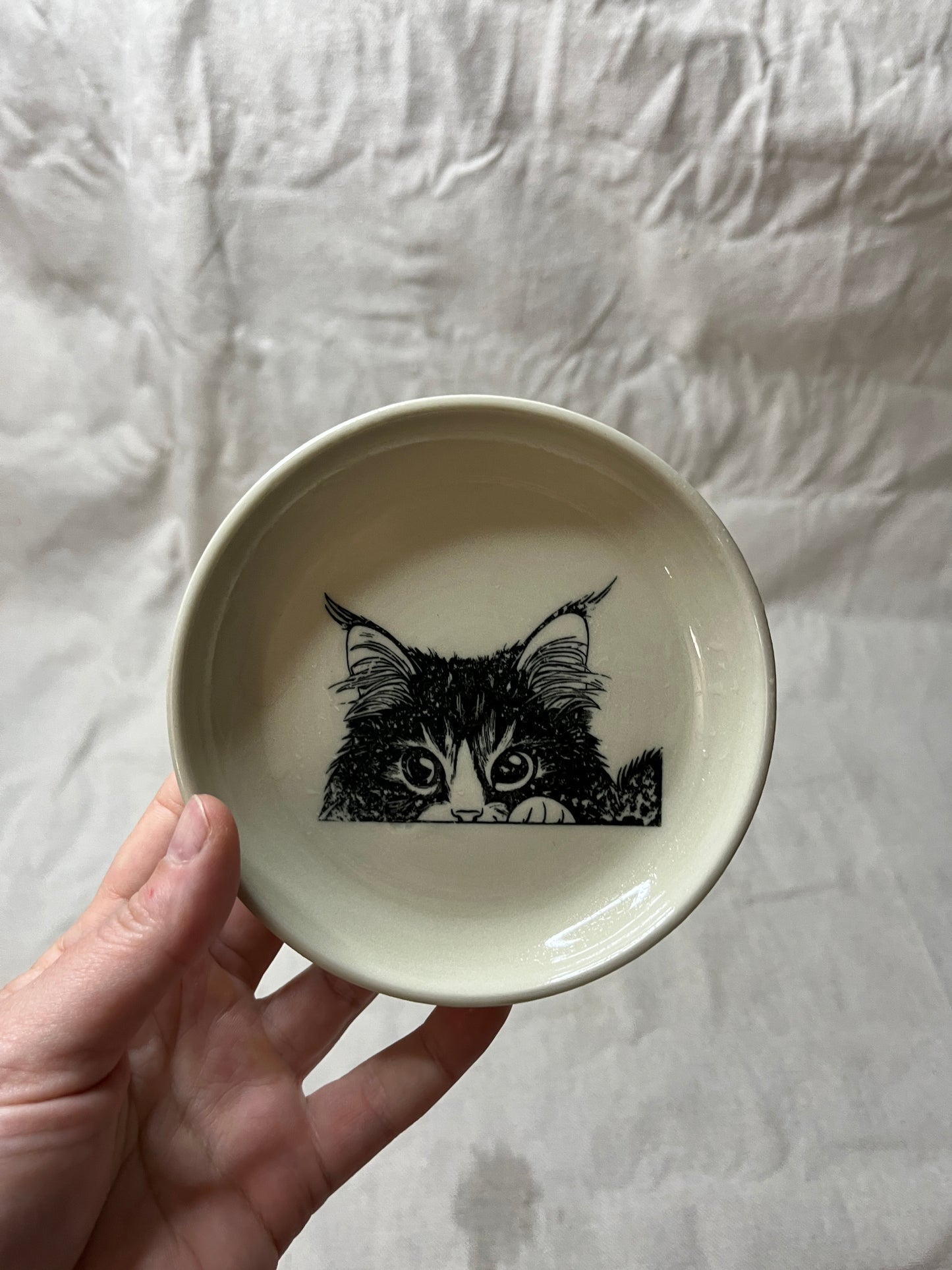cat dish - 07