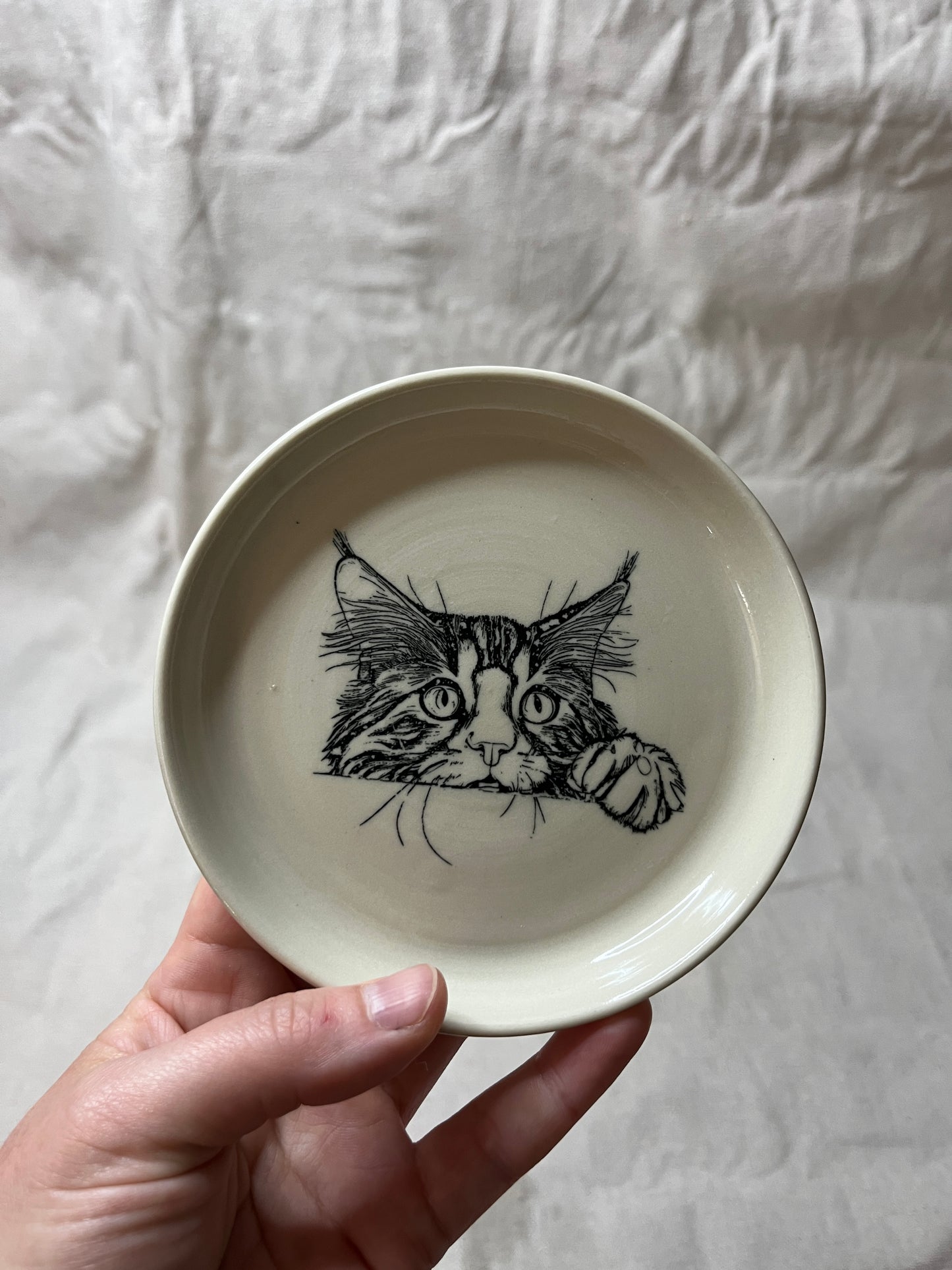 cat dish - 05