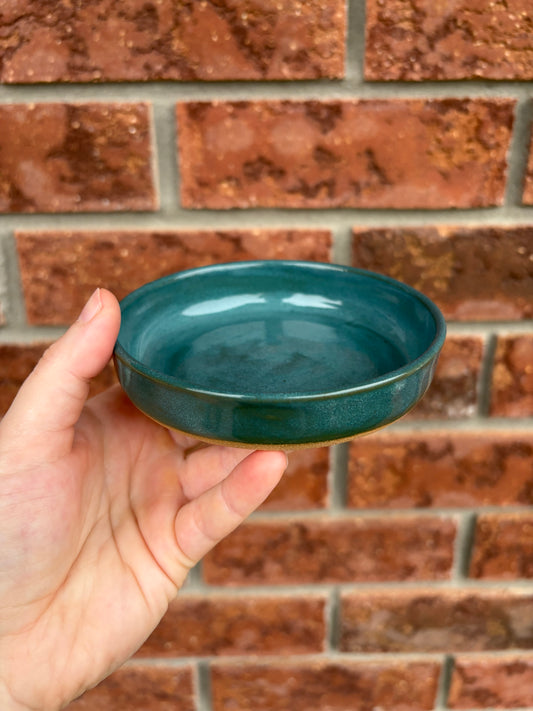 teal - walled dish