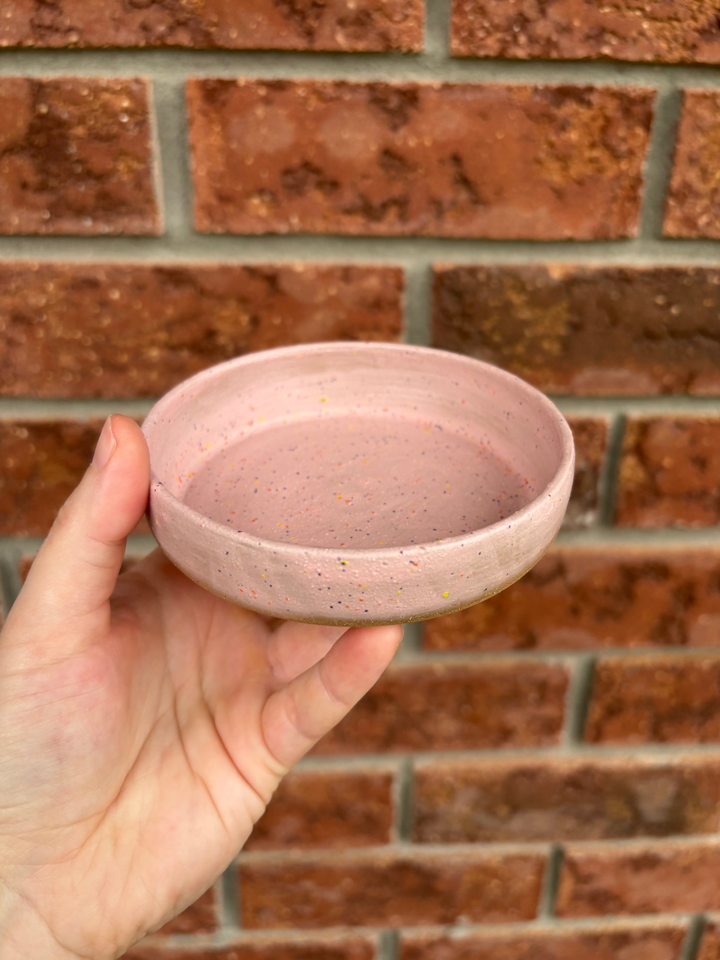 pink speckle - walled dish