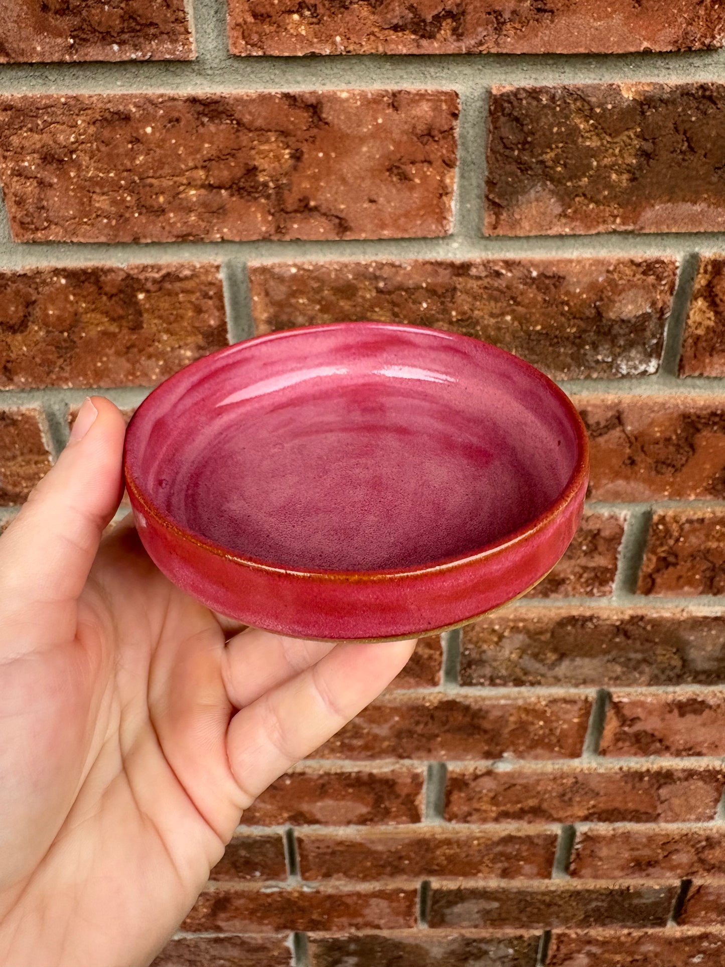 raspberry - walled dish