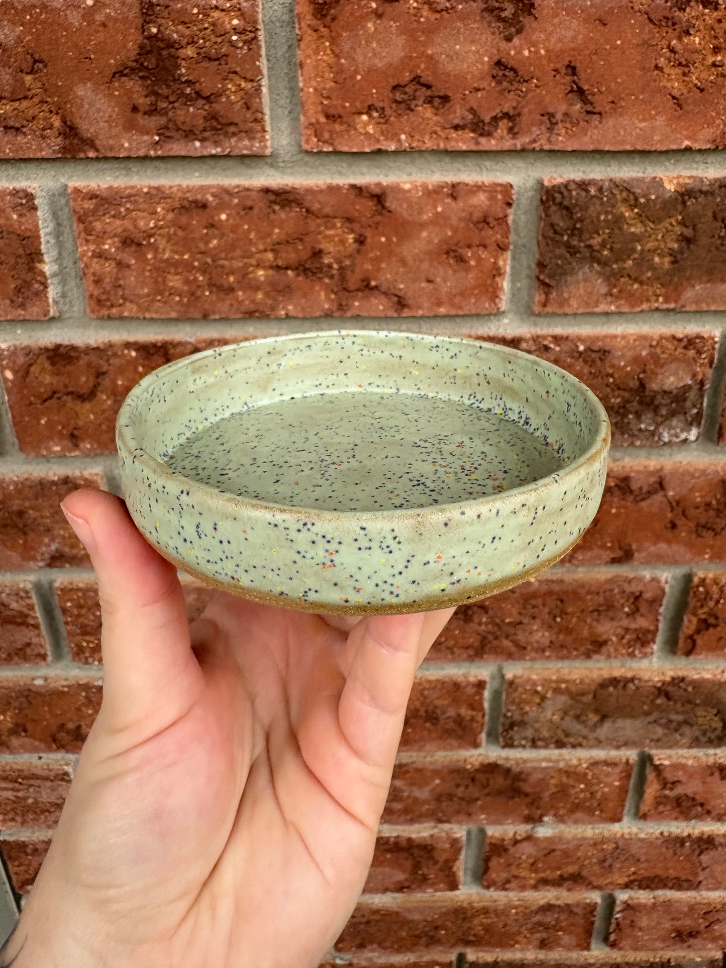 green speckle - walled dish
