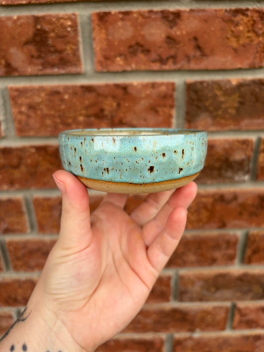 robins egg - smol bowl