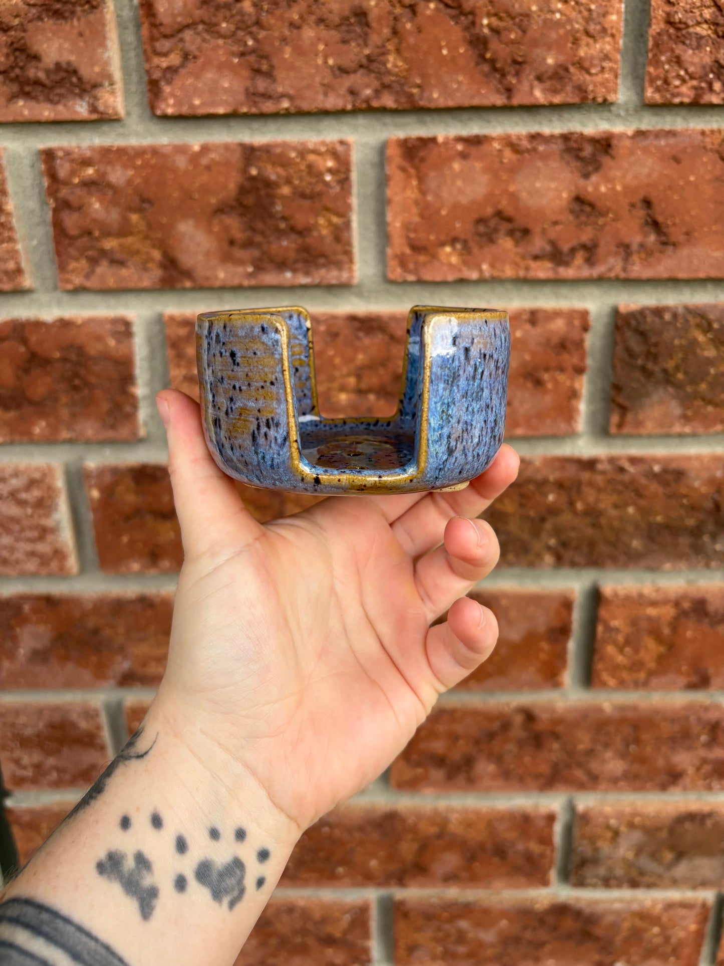 blue sponge holder