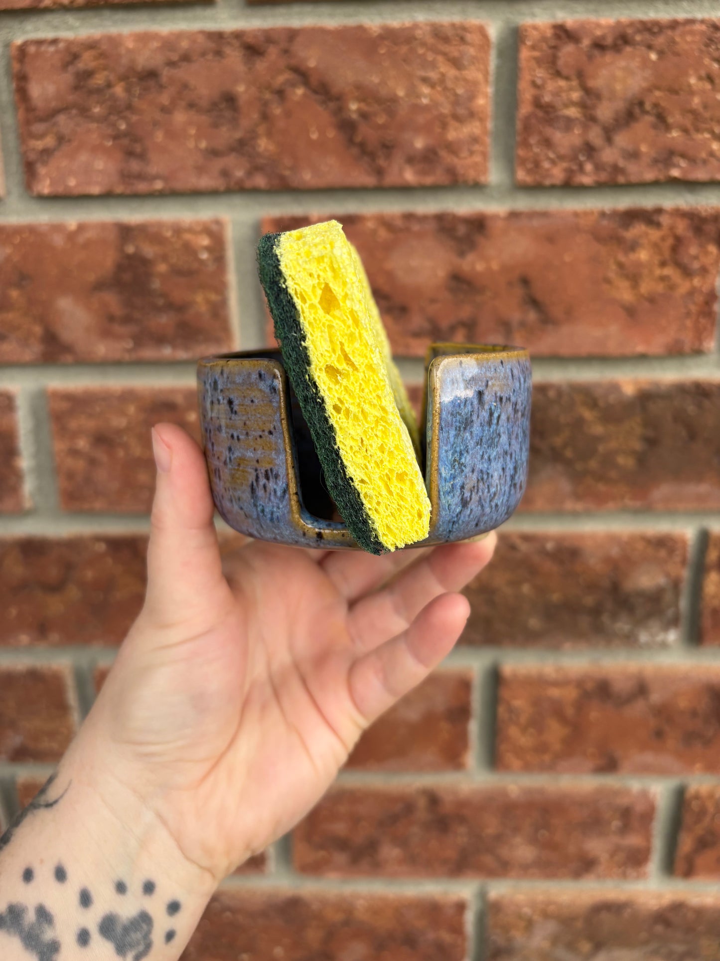 blue sponge holder