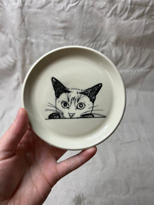 cat dish - 17