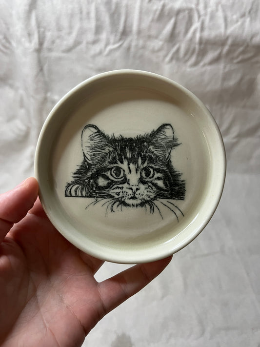 cat dish - 16
