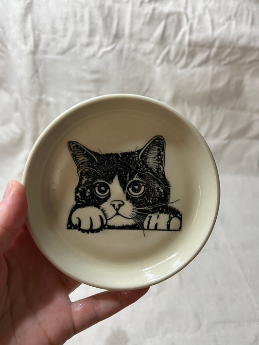 cat dish - 15