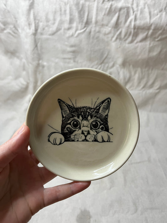 cat dish - 14