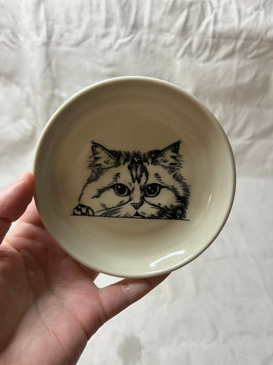 cat dish - 13