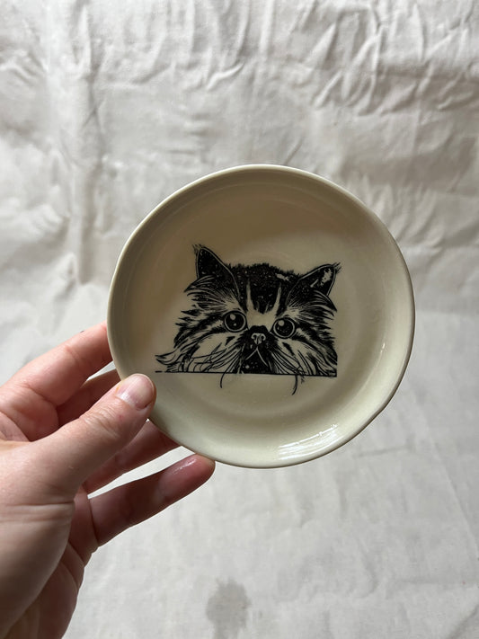 cat dish - 11