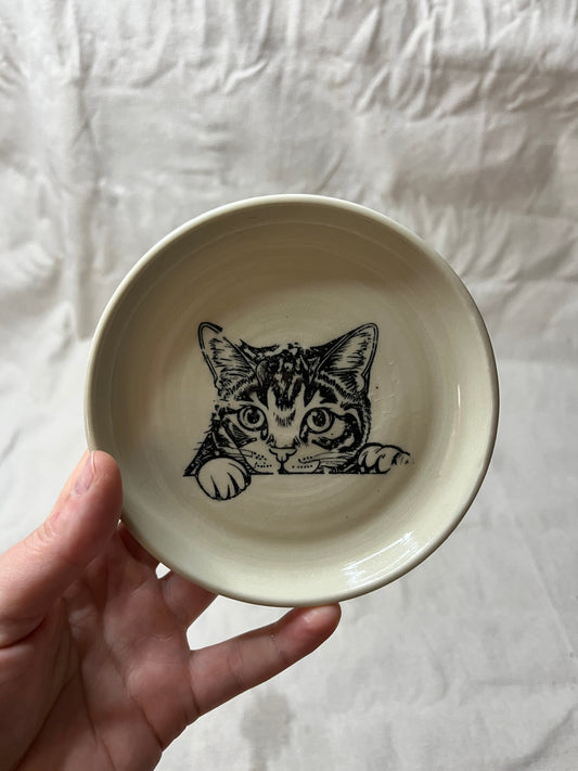 cat dish - 10