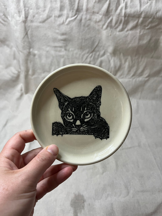 cat dish - 09
