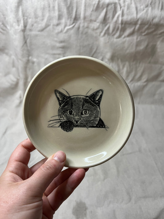 cat dish - 08