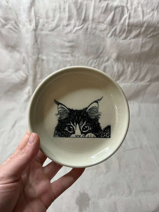 cat dish - 07