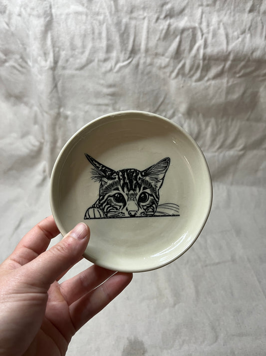 cat dish - 06