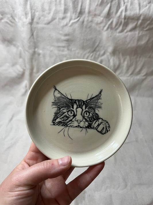 cat dish - 05